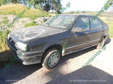 RENAULT 19